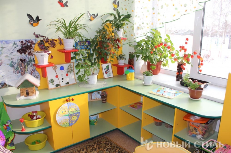 Зкологический уголок в детском саду. Оформление