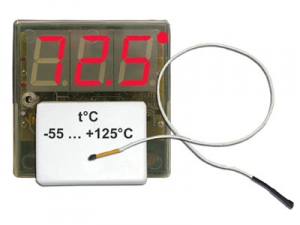 Термометр электронный демонстрационный